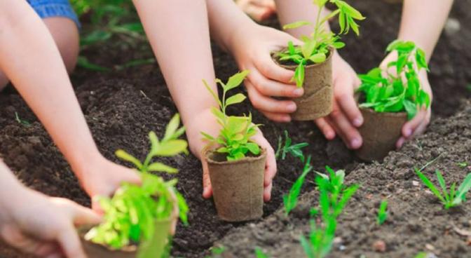 Phân bón hữu cơ Thiên Quyến Phân bón hữu cơ Thiên Quyến