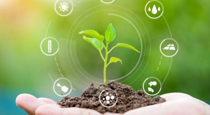 Cải tiến kỹ thuật trồng trọt để tăng năng suất nông sản Cải tiến kỹ thuật trồng trọt để tăng năng suất nông sản