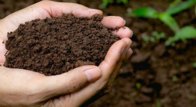 Cải tạo đất trông nông nghiệp Cải tạo đất trông nông nghiệp