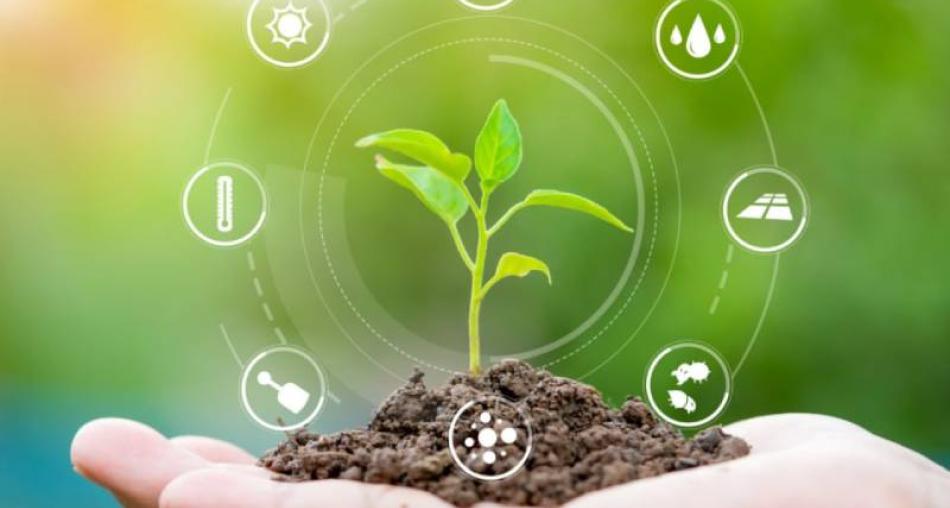 Cải tiến kỹ thuật trồng trọt để tăng năng suất nông sản Cải tiến kỹ thuật trồng trọt để tăng năng suất nông sản