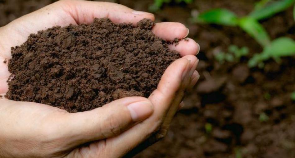 Cải tạo đất trông nông nghiệp Cải tạo đất trông nông nghiệp